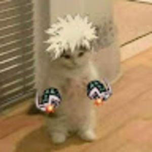 Meet your Posher, Stxpid_ashley